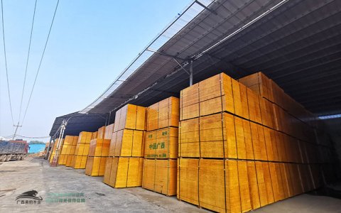 木模板市场价多少钱一张?建筑木模板市场推荐